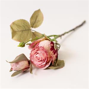 Stem - Dried Look Garden Rose Pink
