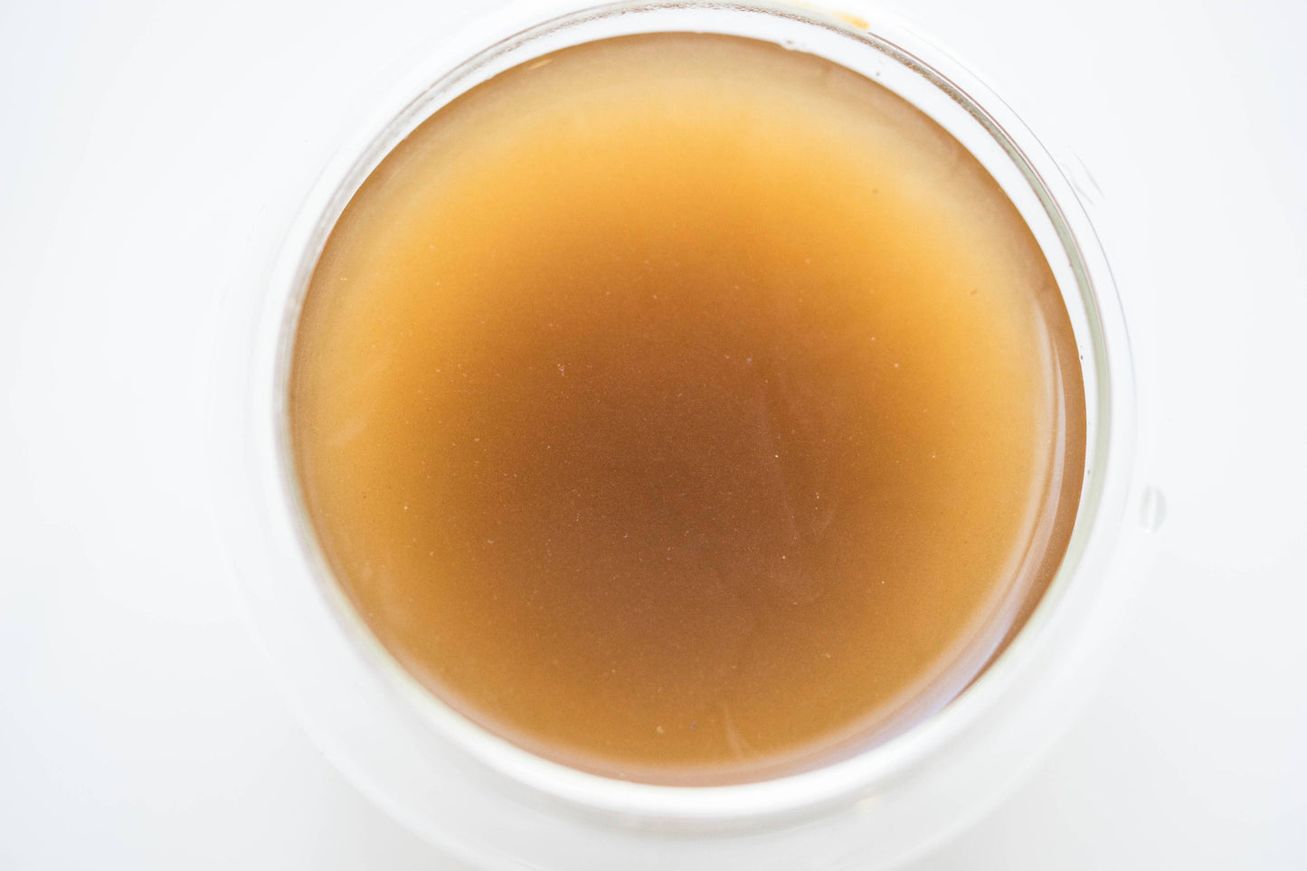 Immune | Fine Plant & Mushroom Powder from Vana Tisanes