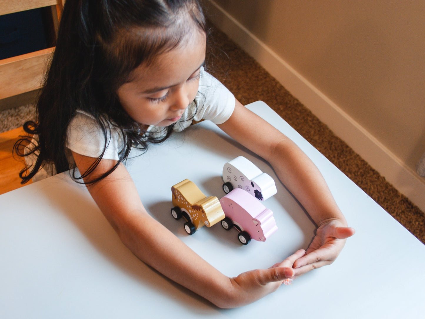 Barnyard Pullback Toys