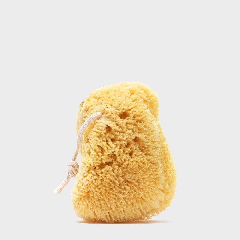 Sea Sponge Sustainably Sourced from Greece
