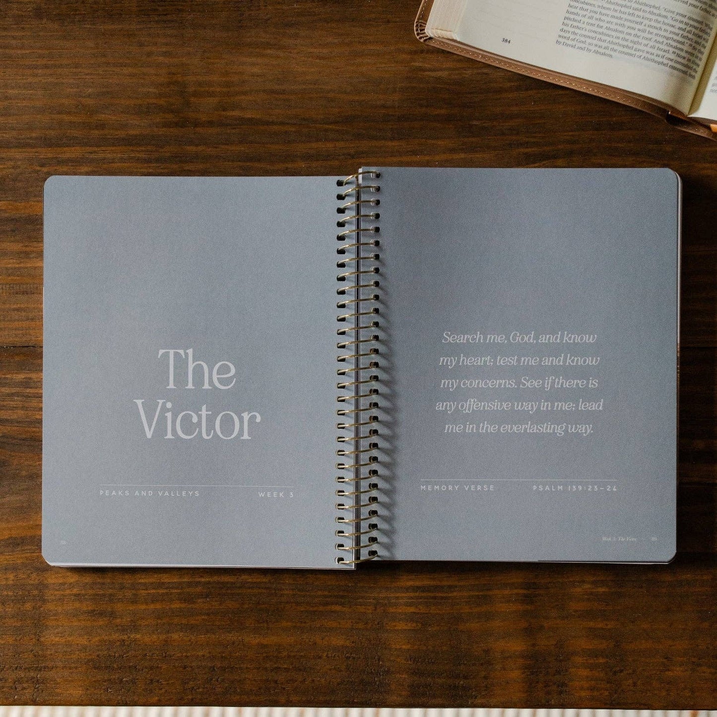 Peaks and Valleys Men's Bible Study