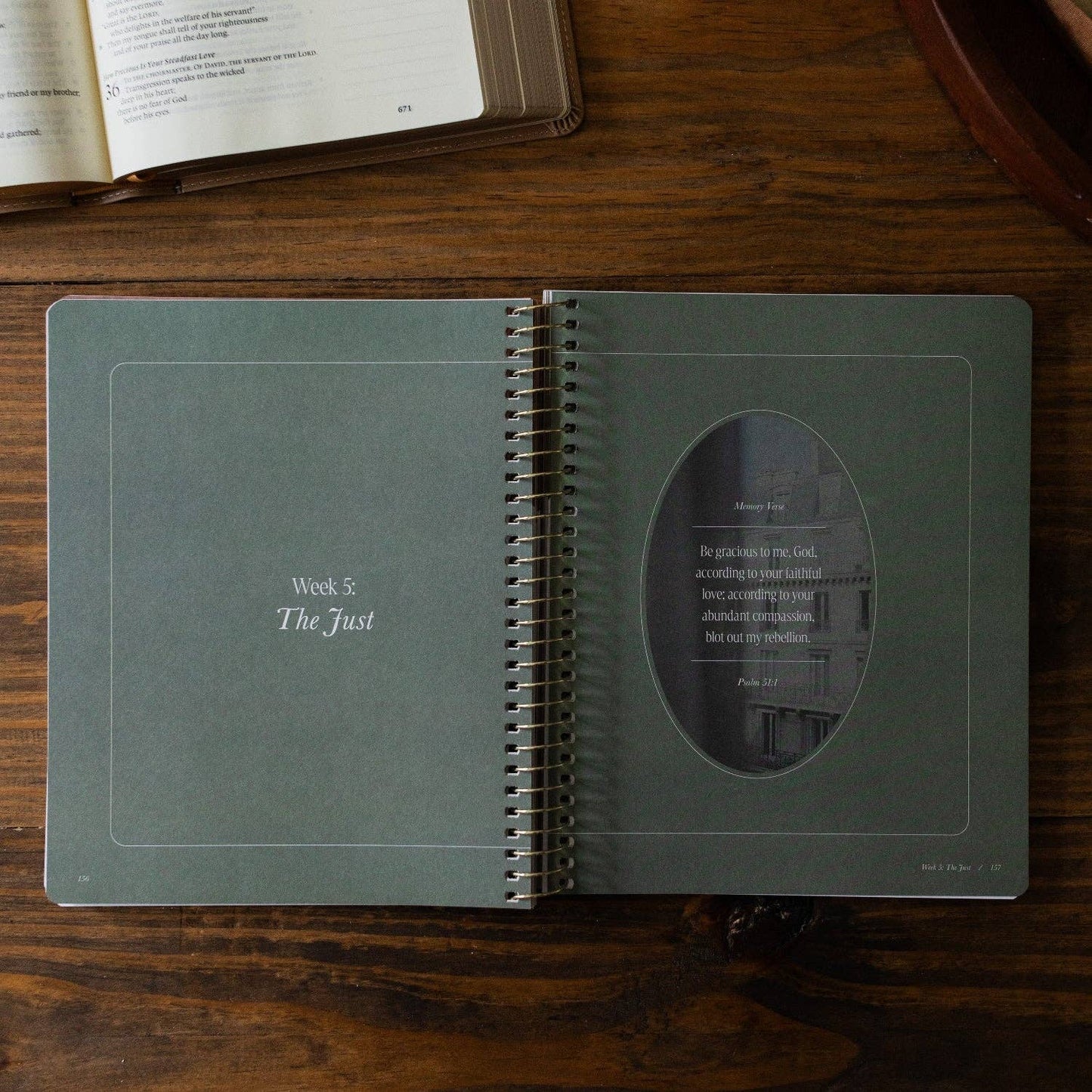 Peaks and Valleys Spiral Bible Study