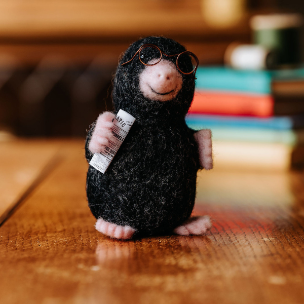 Mr Mole Needle Felting Craft Kit