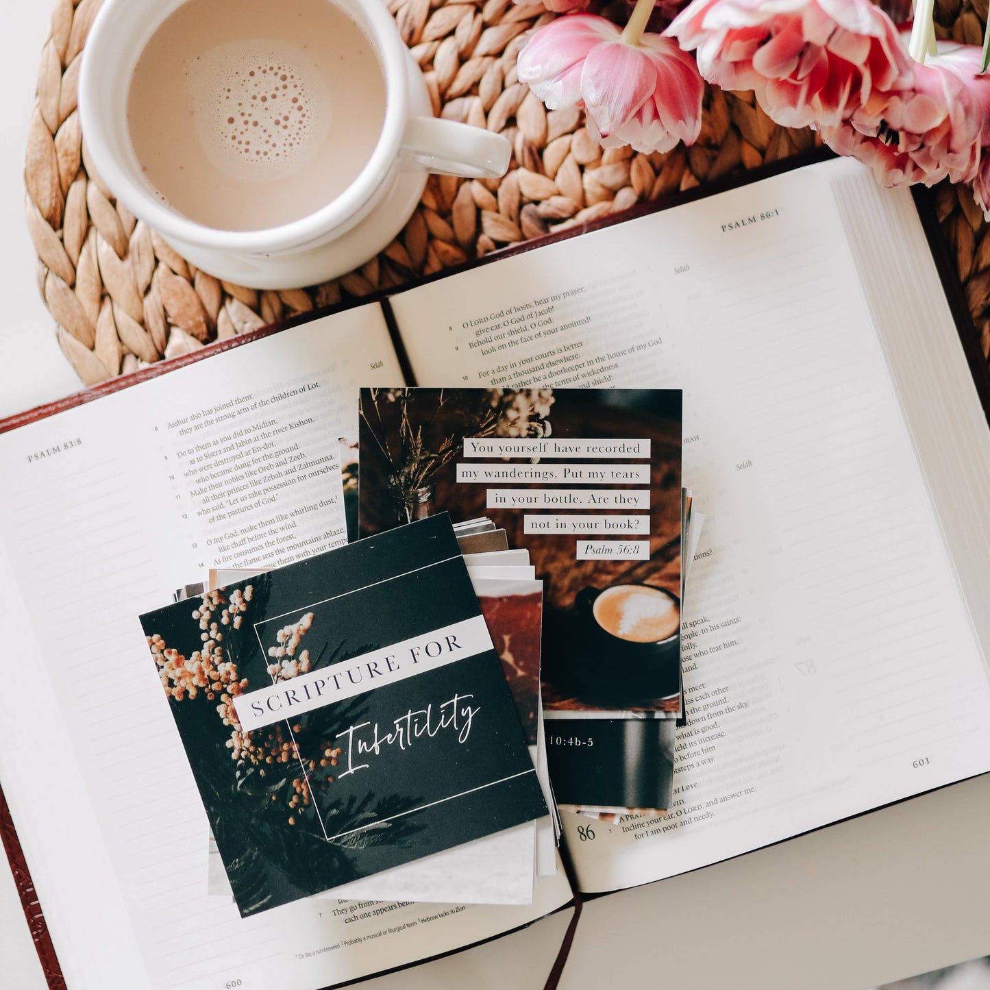 Scripture for Infertility Verse Card Set 