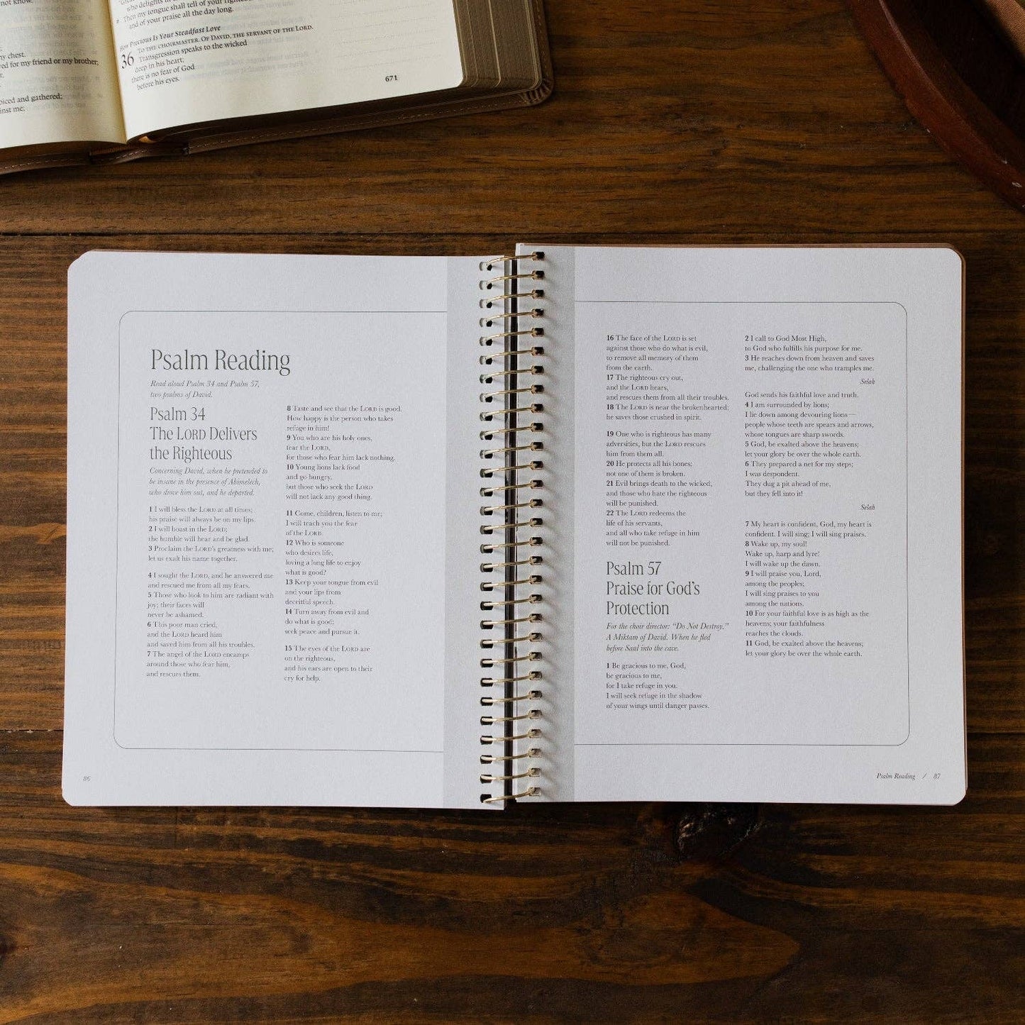 Peaks and Valleys Spiral Bible Study