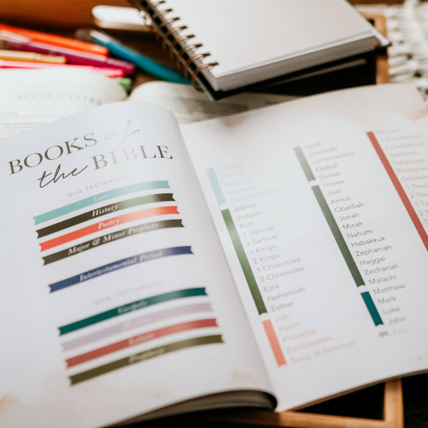 Amen | 5 Week Study | The Story of Scripture from Eden to Eternity