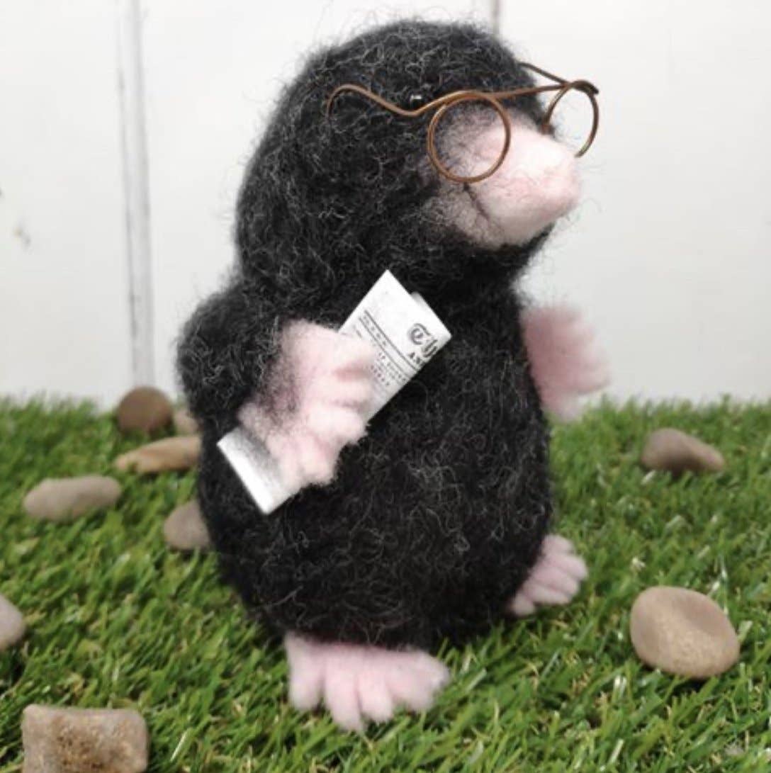 Mr Mole Needle Felting Craft Kit