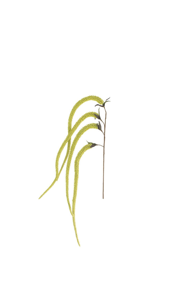 botanica #9029