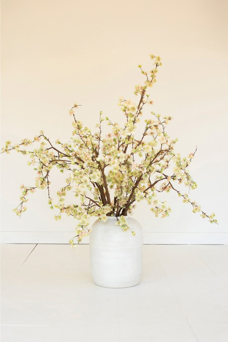 botanica #2850