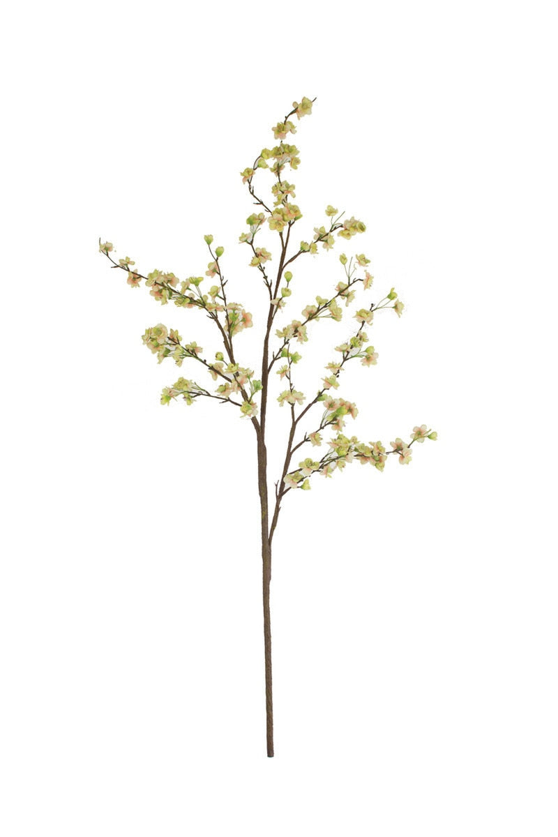 botanica #2850