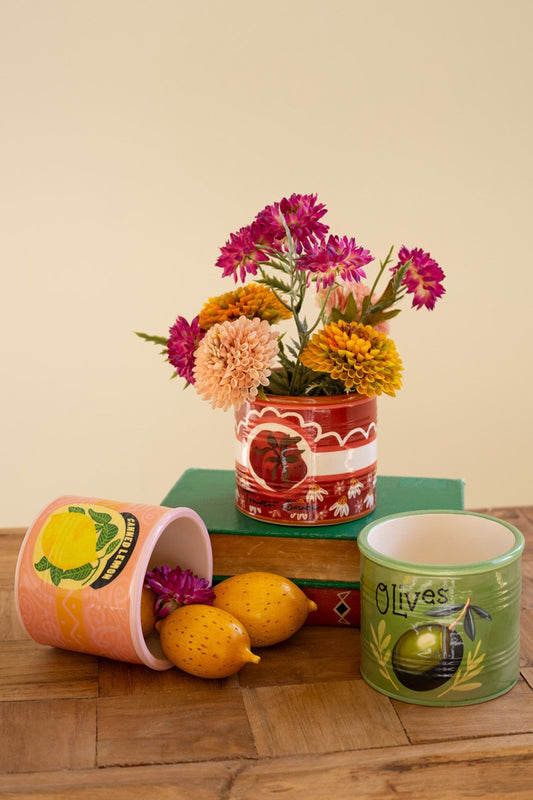 Set of 3 Ceramic Canned Goods Planters