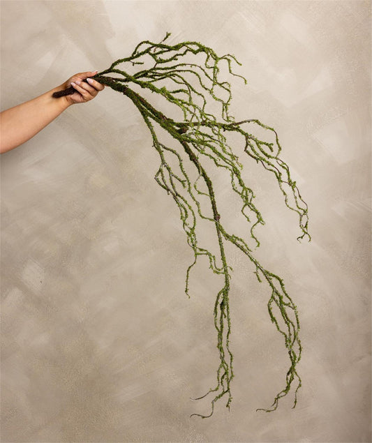 Stem - Mossed Branch