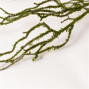 Stem - Mossed Branch
