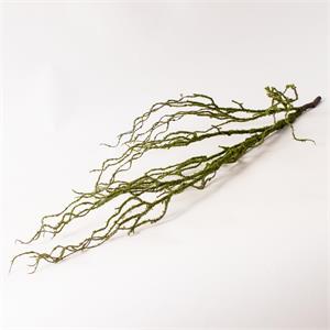 Stem - Mossed Branch