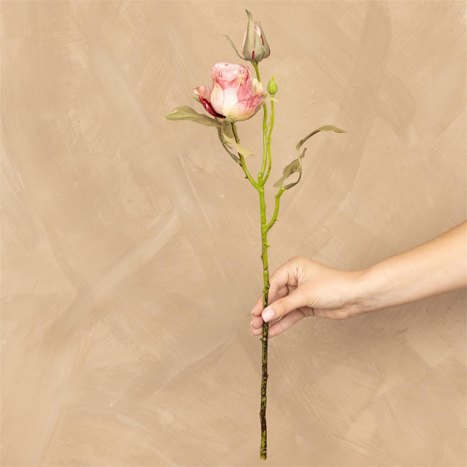 Stem - Dried Look Garden Rose Pink