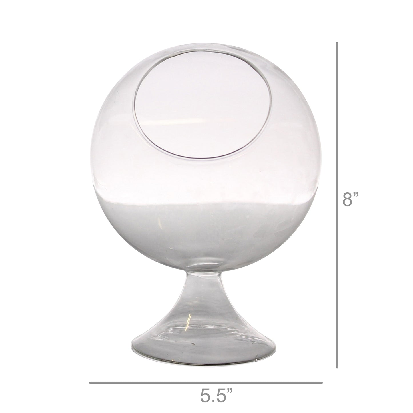 HomArt Sole Terrarium Glass - Round Large | Clear Glass Plant Ecosystem Container