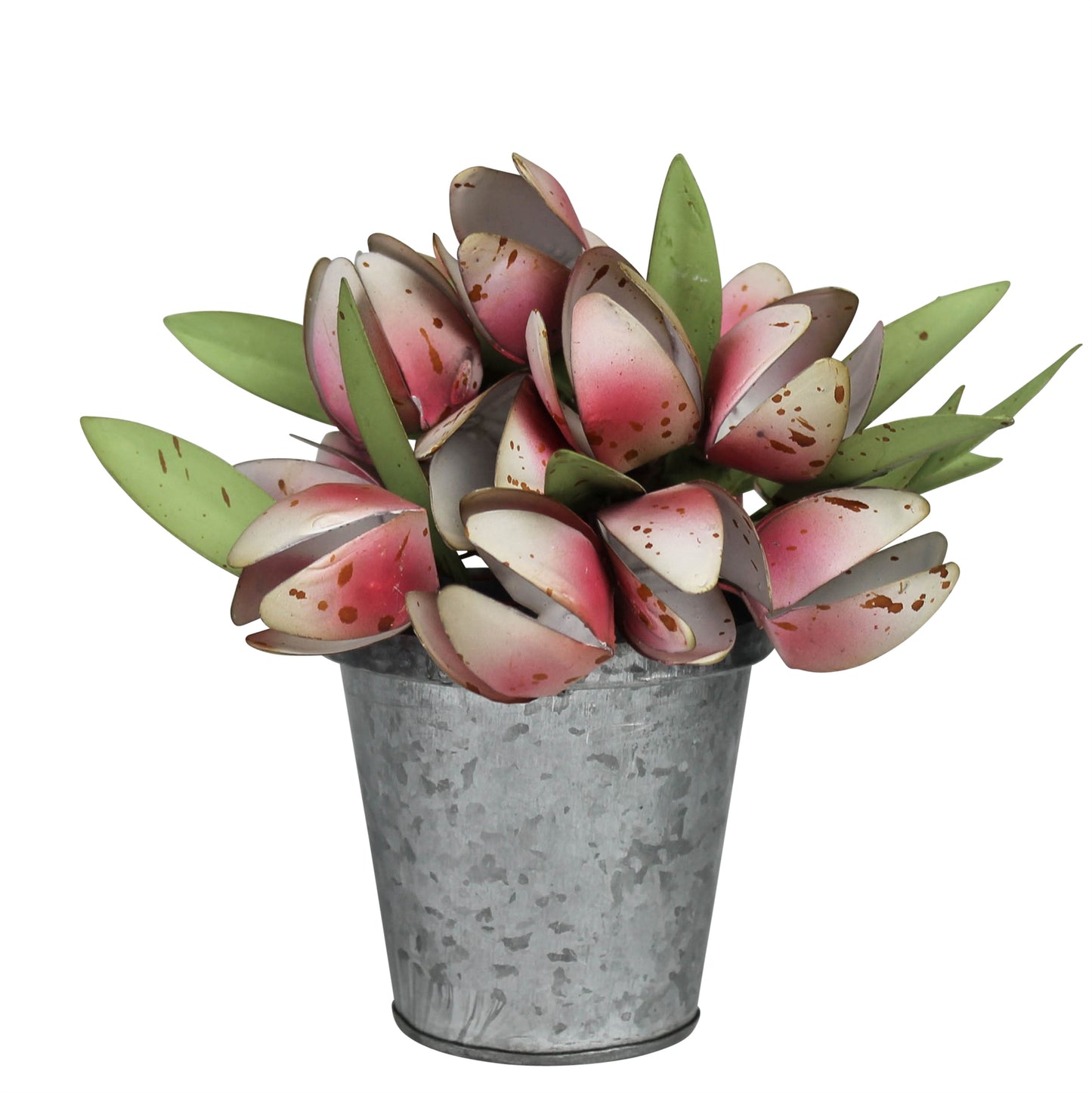 HomArt Pot with Tulips | Decorative Ceramic Flower Planter