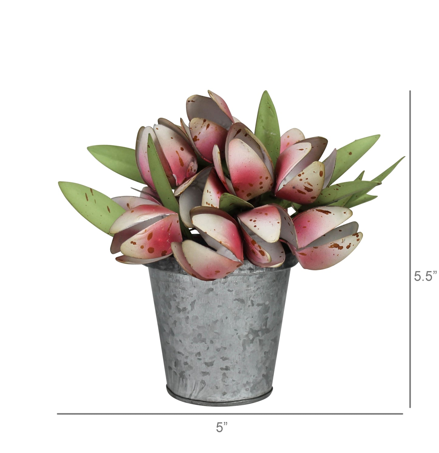 HomArt Pot with Tulips | Decorative Ceramic Flower Planter