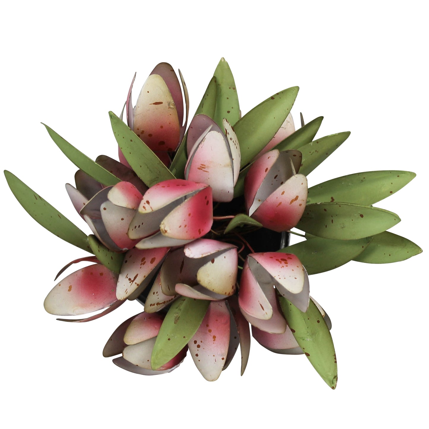 HomArt Pot with Tulips | Decorative Ceramic Flower Planter