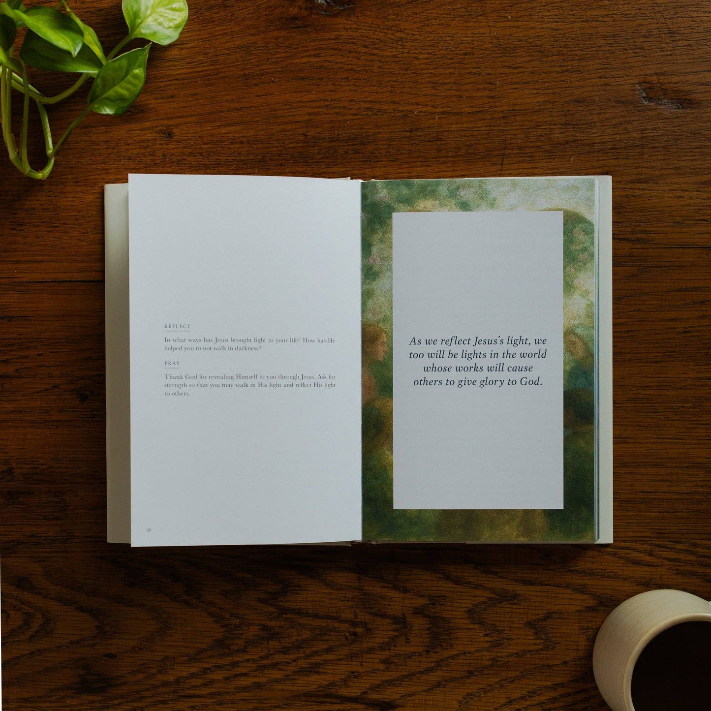 Forty Sayings of Jesus Hardcover Bible Study