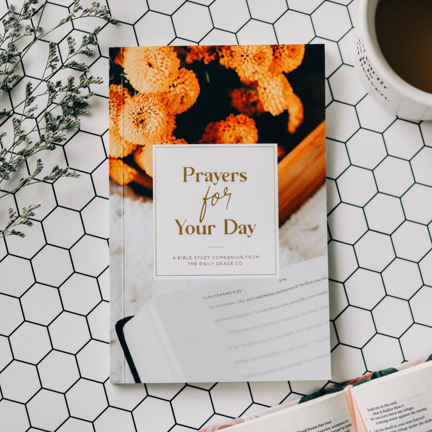 Prayers for Your Day Booklet