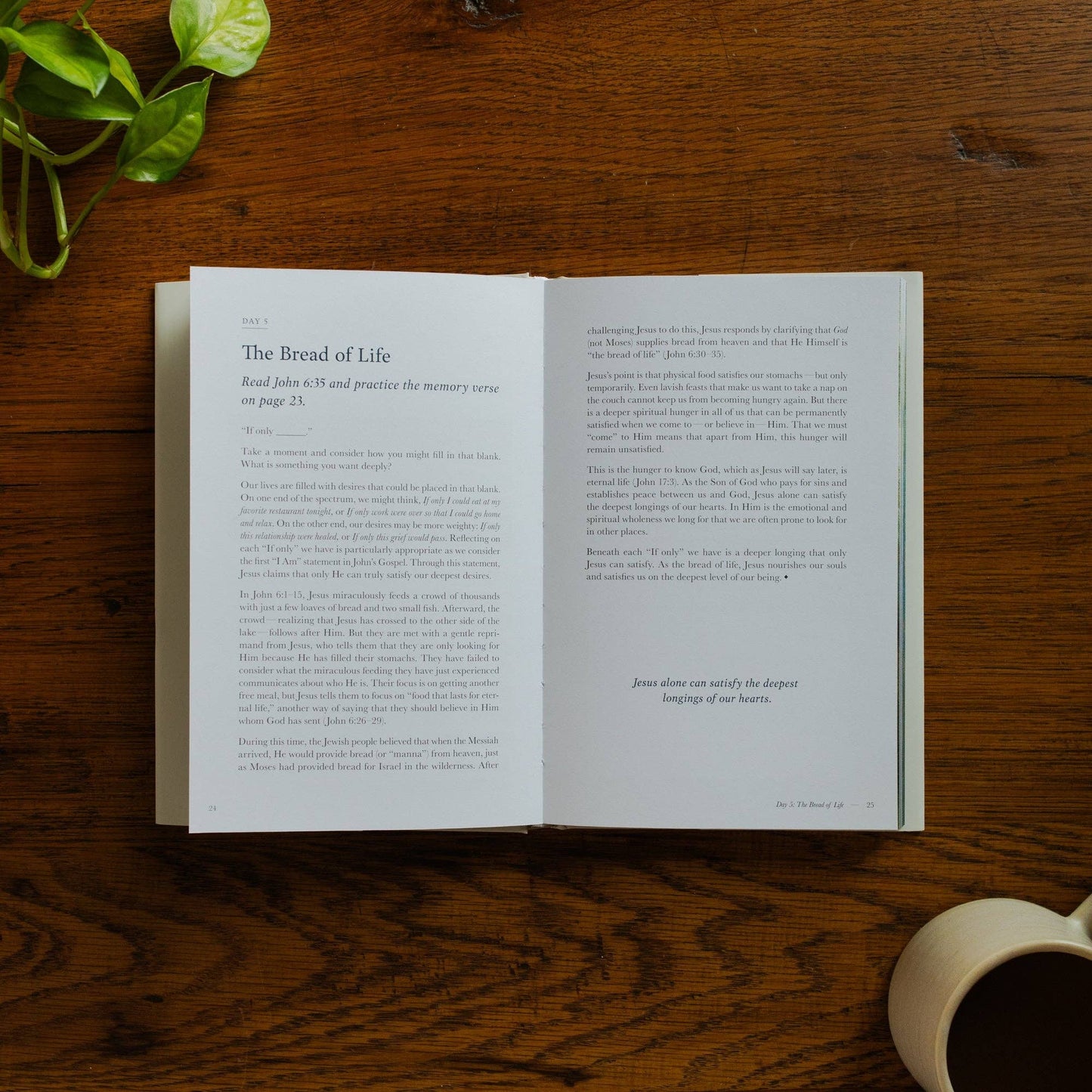 Forty Sayings of Jesus Hardcover Bible Study