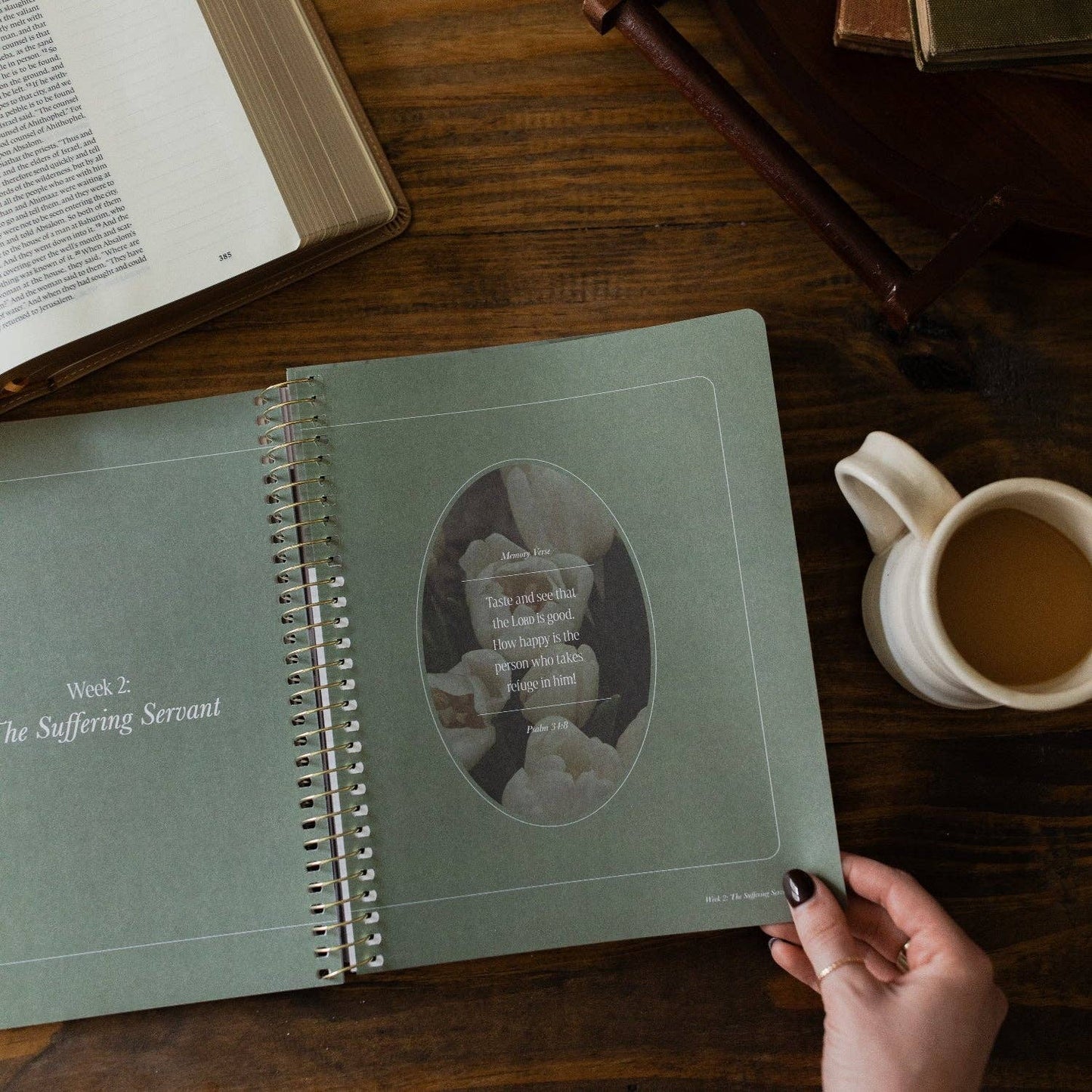 Peaks and Valleys Spiral Bible Study