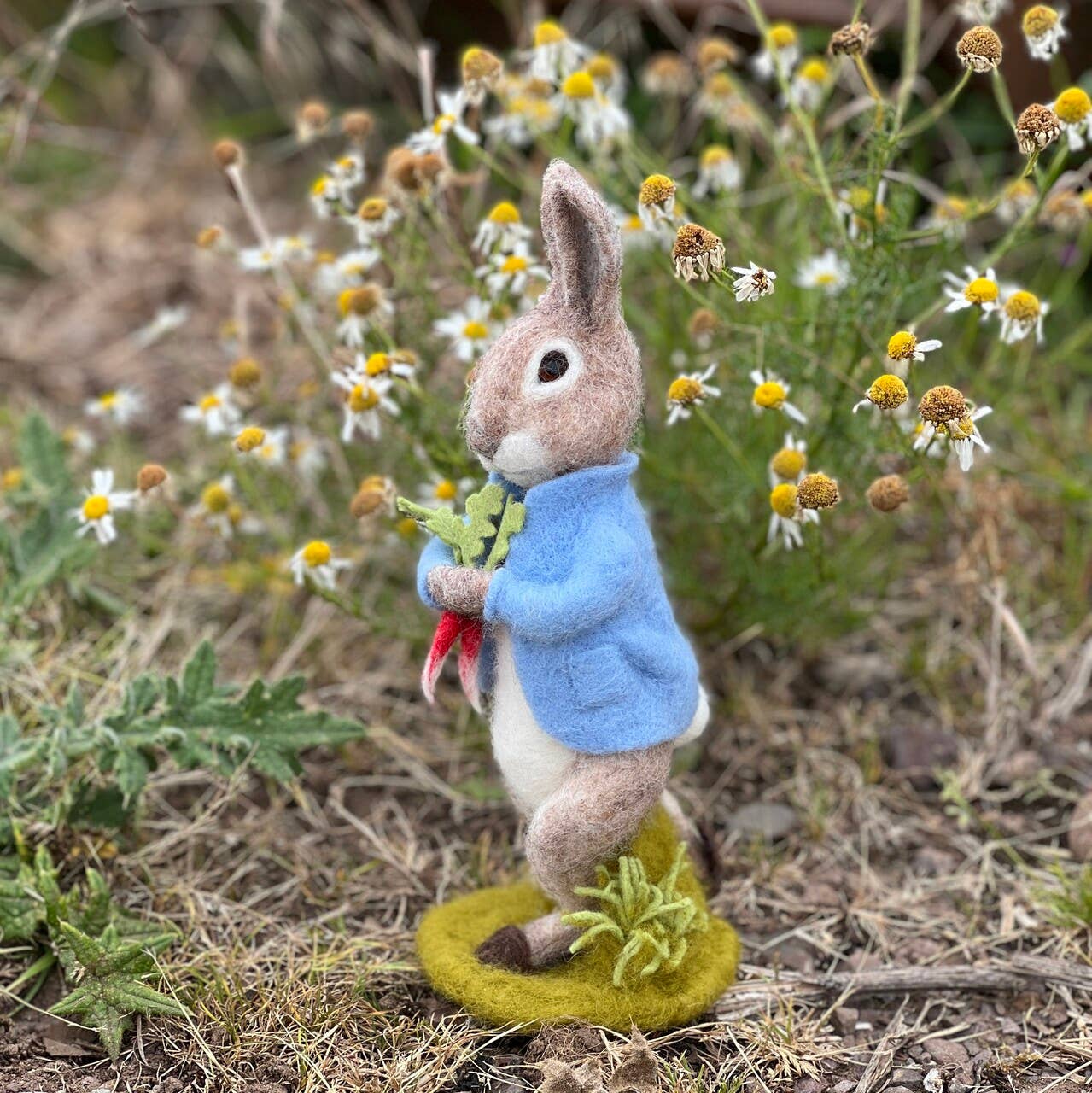 Beatrix Potter - Peter Rabbit and the Stolen Radishes