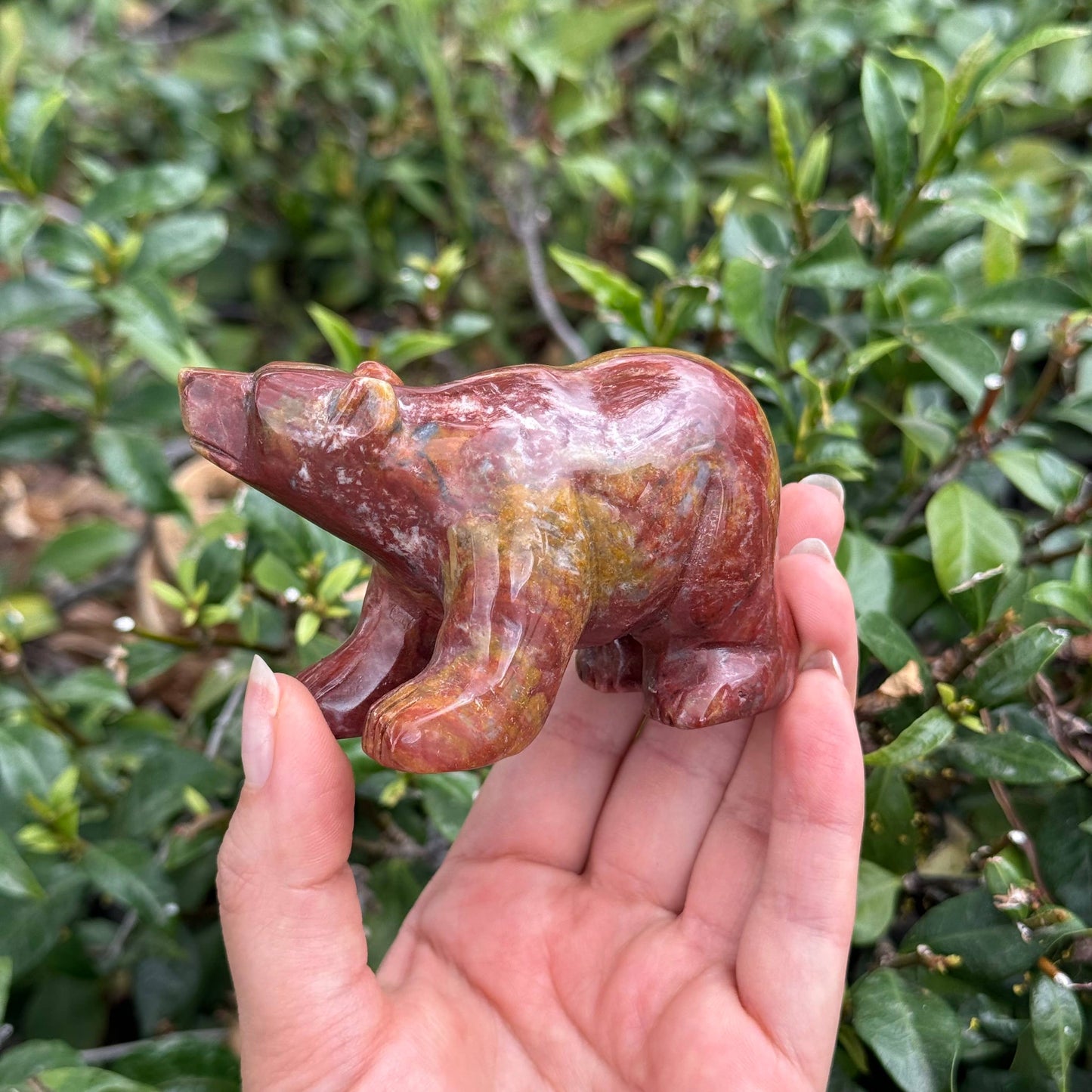 Mixed Jasper Bear