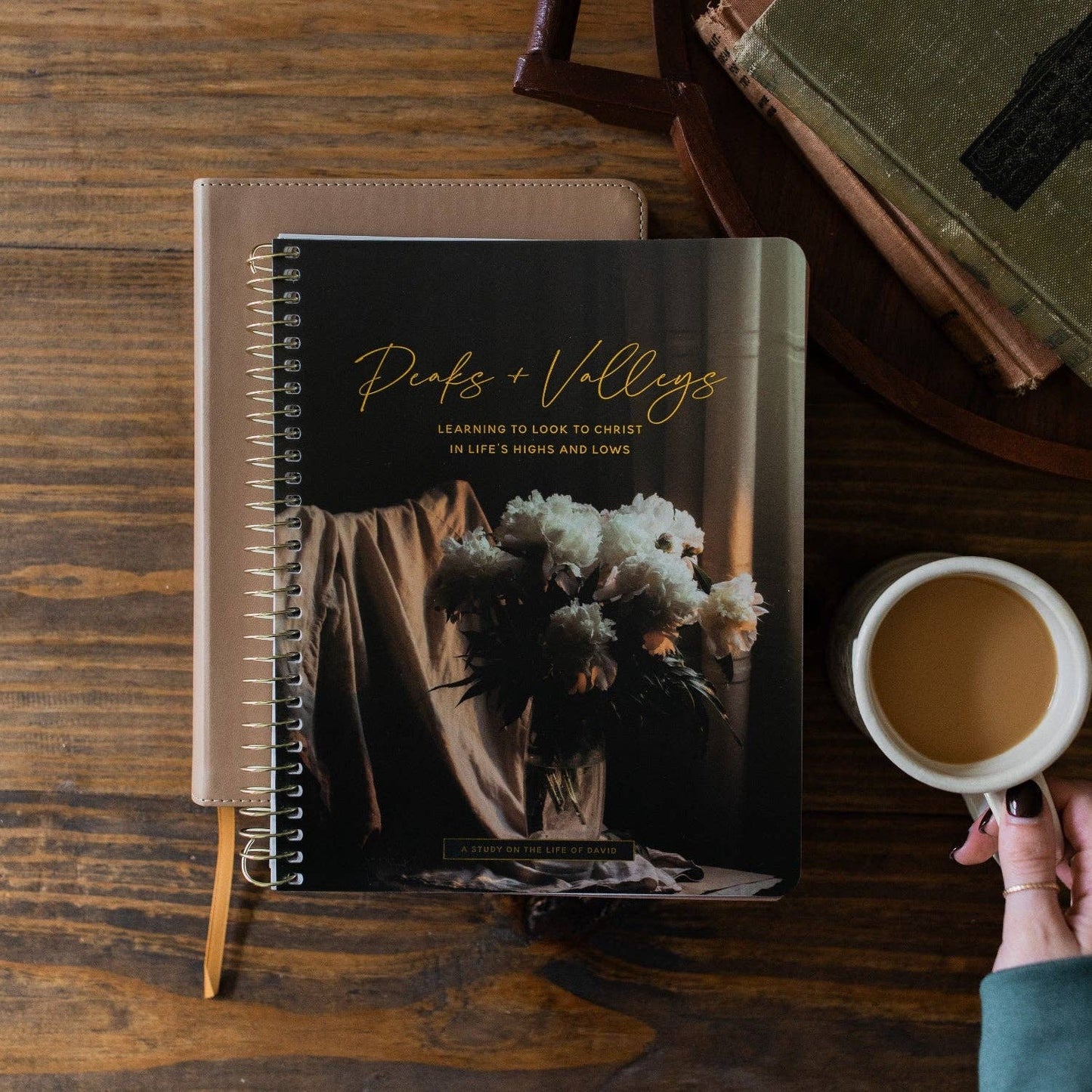 Peaks and Valleys Spiral Bible Study