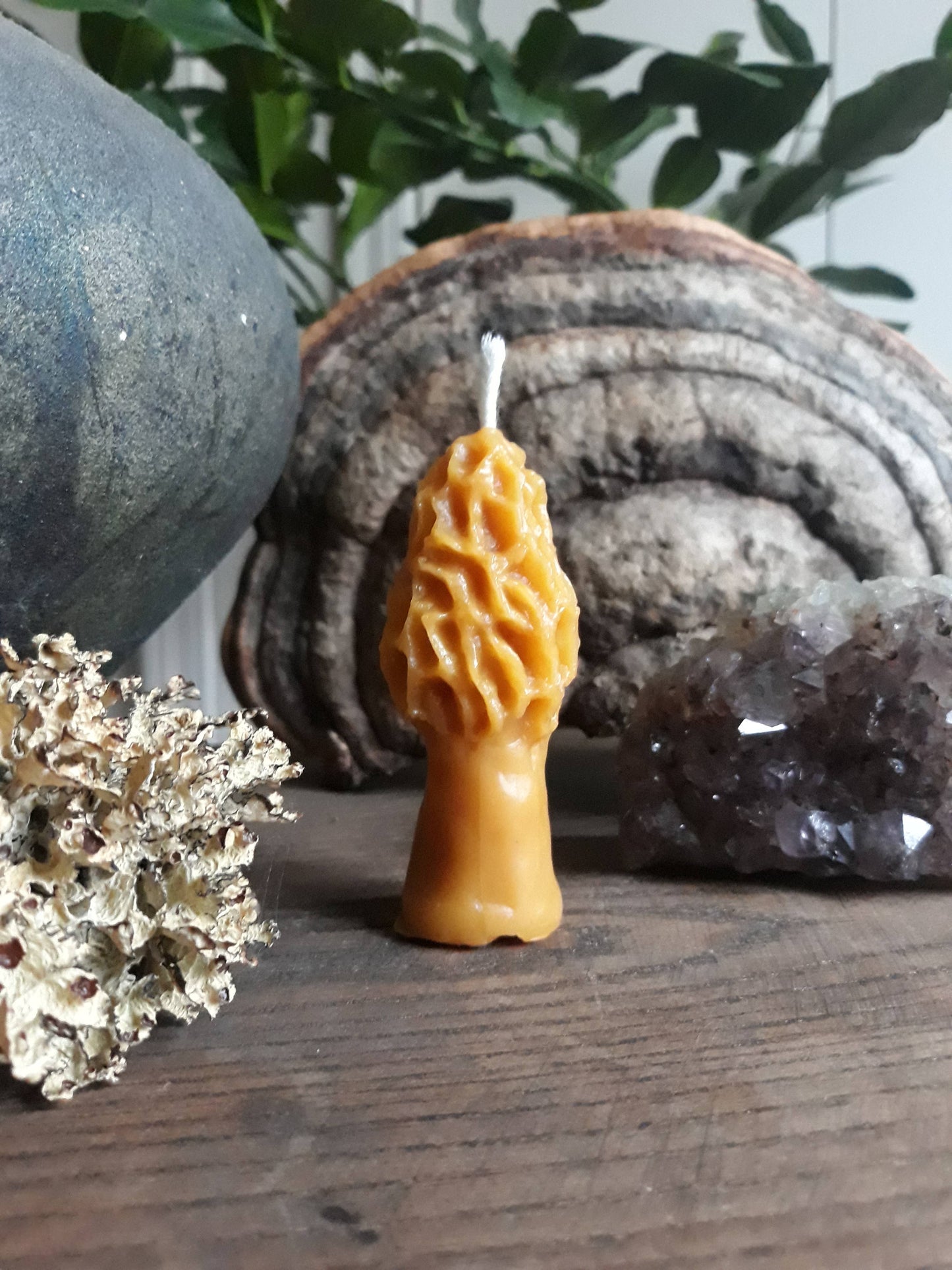 Morel Mushroom Beeswax Candles