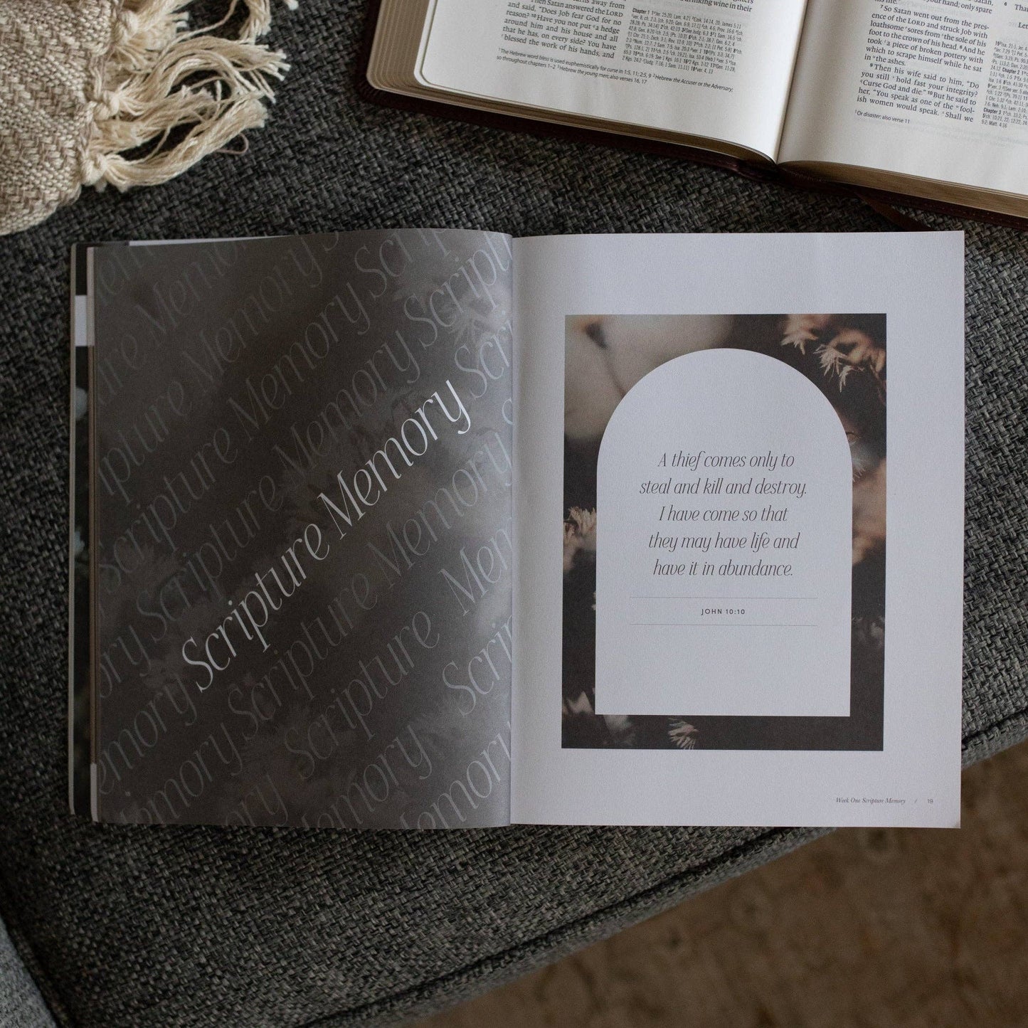 Job Bible Study
