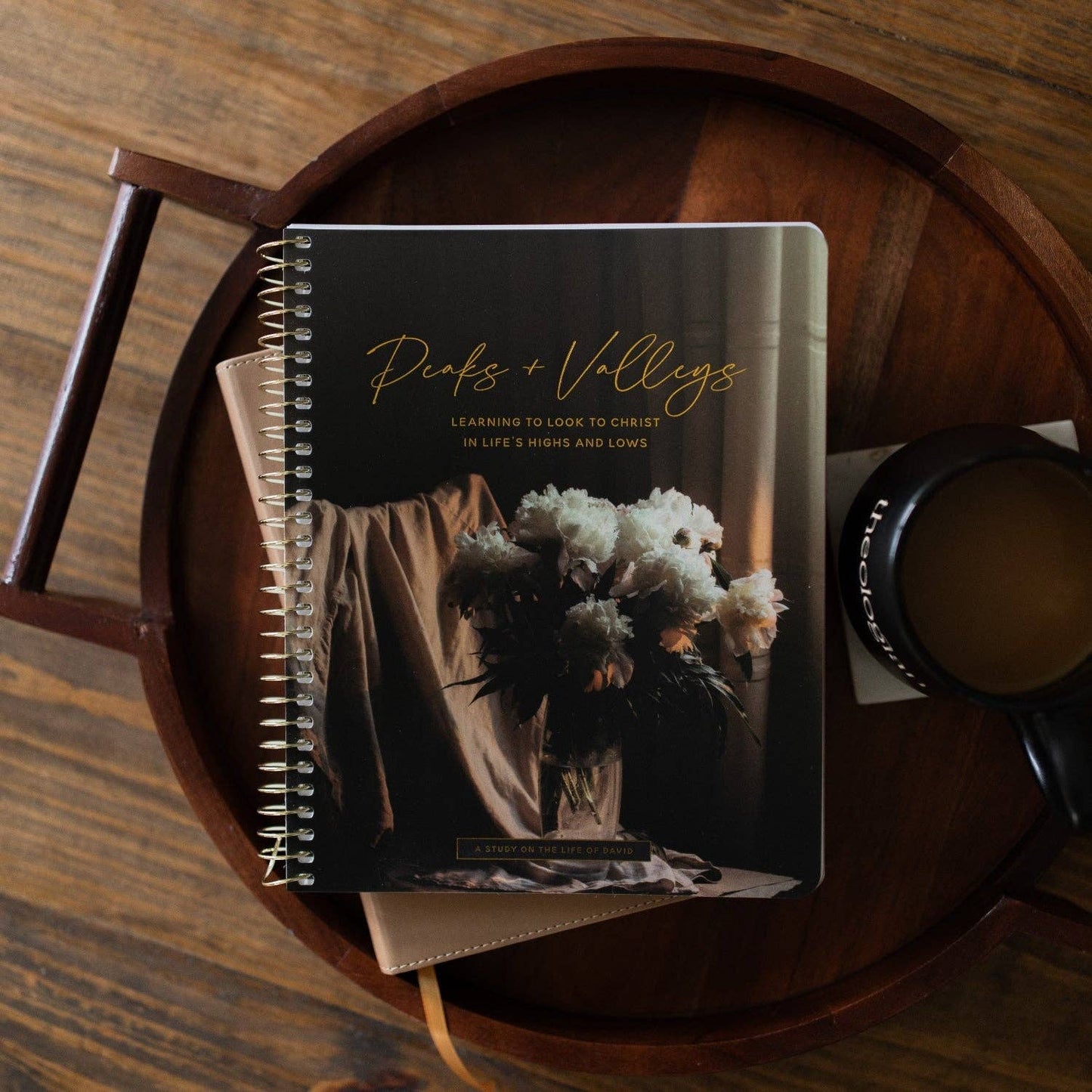 Peaks and Valleys Spiral Bible Study