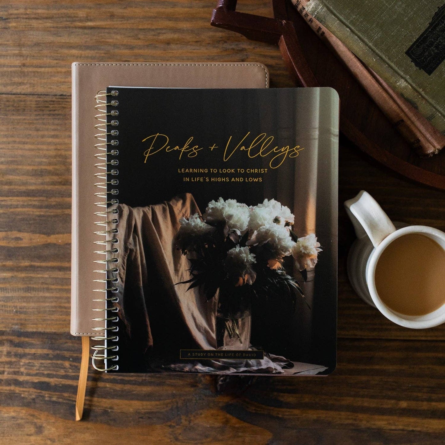 Peaks and Valleys Spiral Bible Study