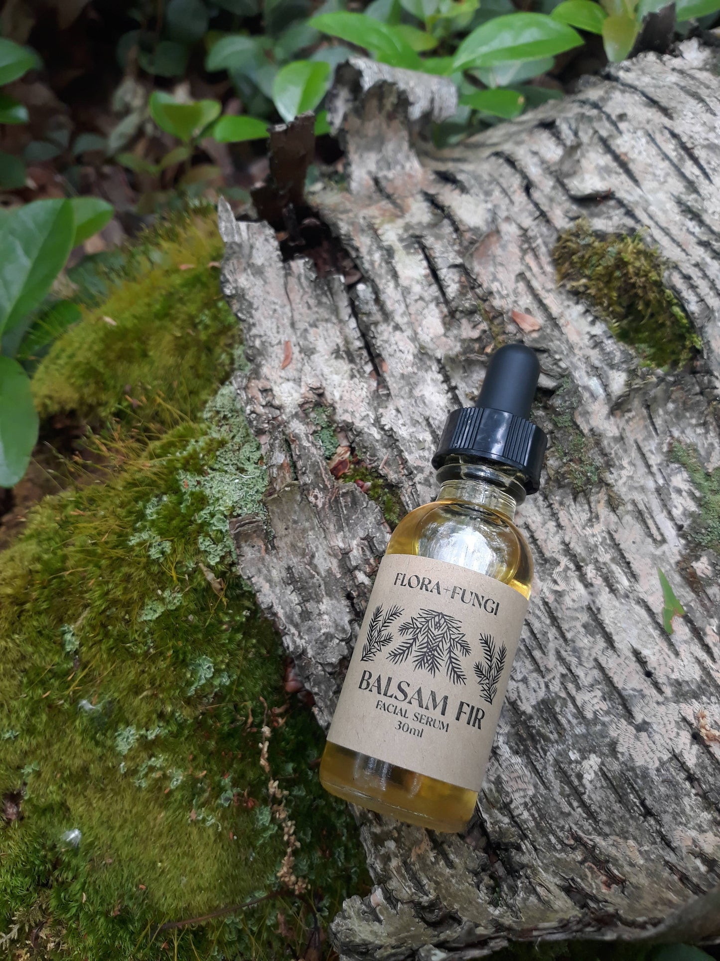 Balsam Fir Serum