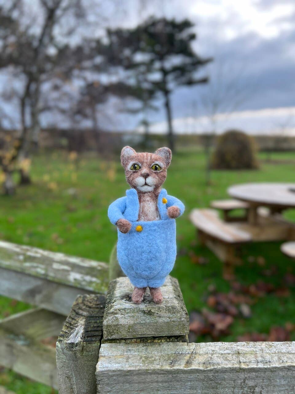 Beatrix Potter - Tom Kitten Needle Felting