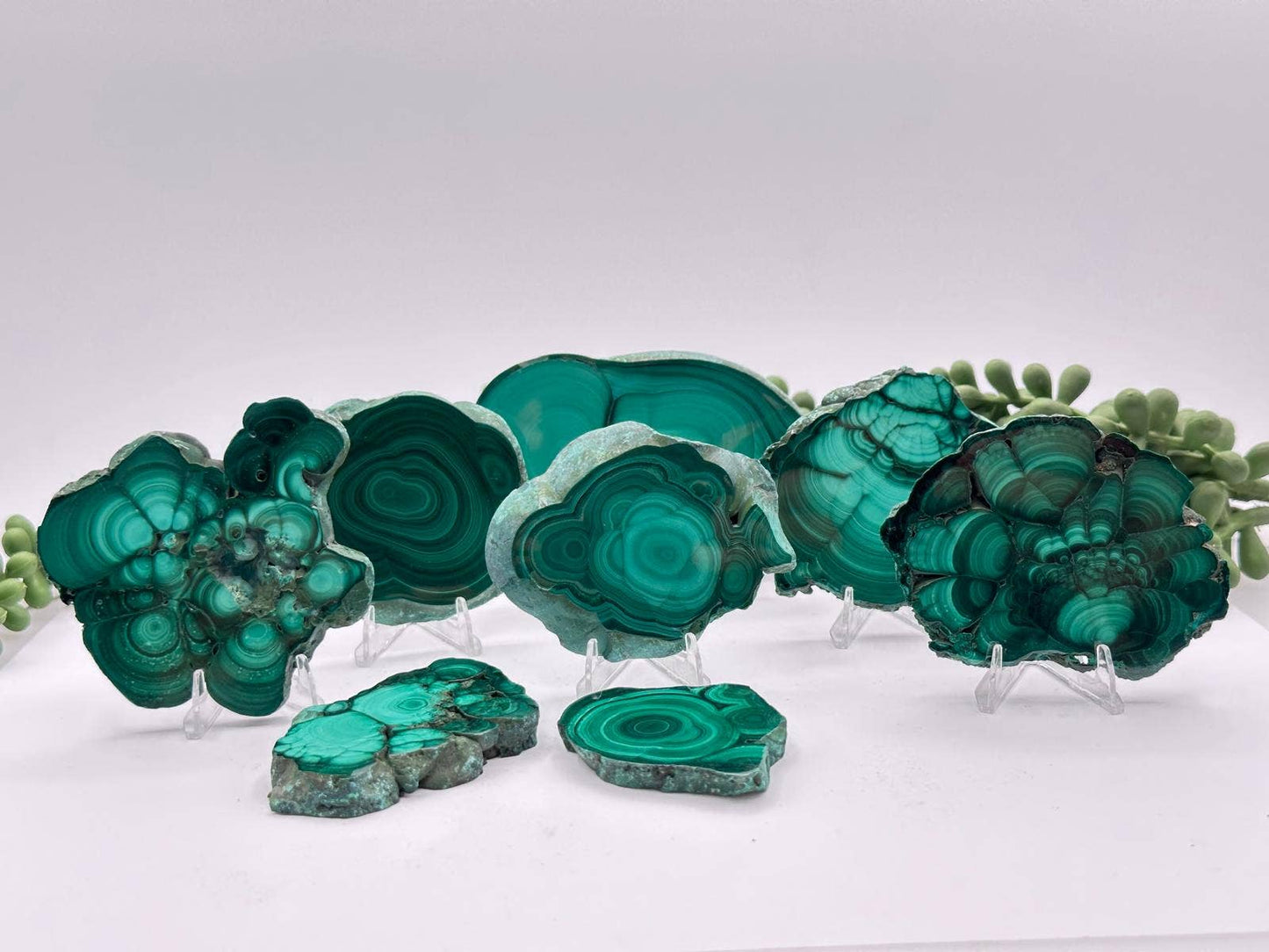 Malachite Slabs with Stands - SELECT PIECES Only AAA Quality