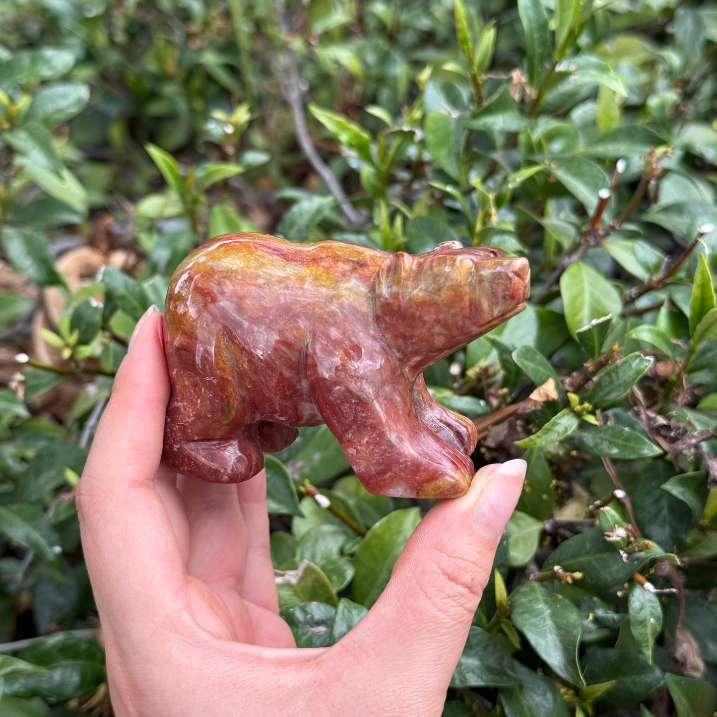 Mixed Jasper Bear