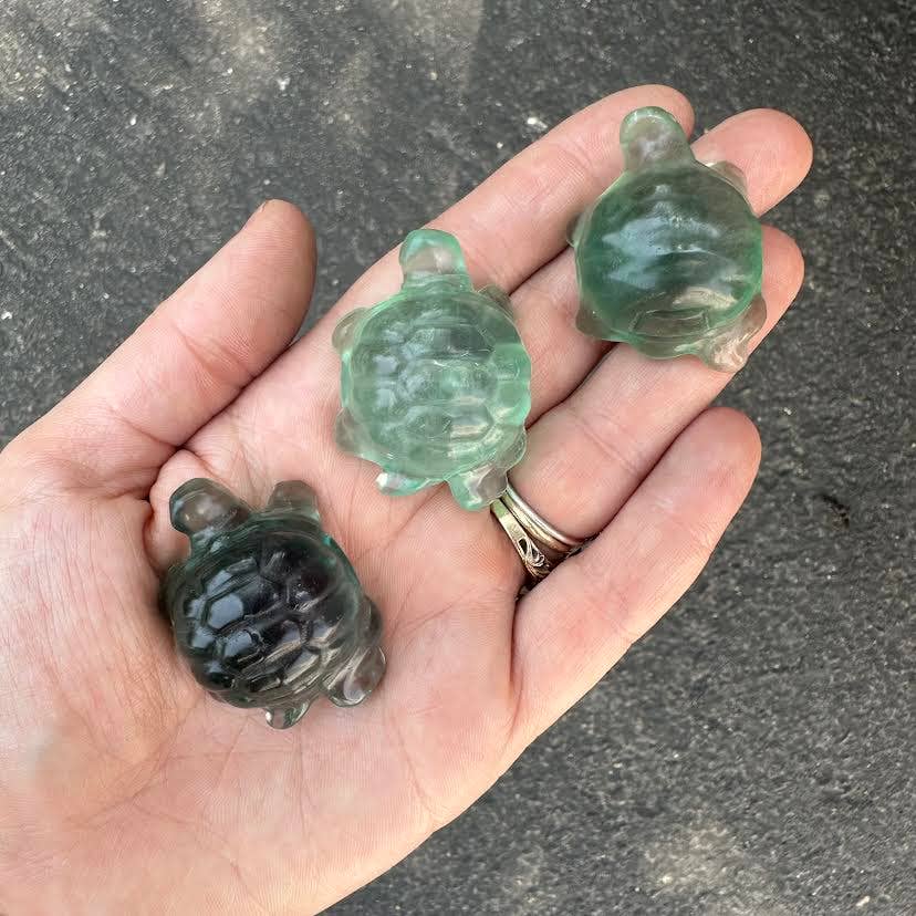 Green Fluorite Turtle - 1 pc