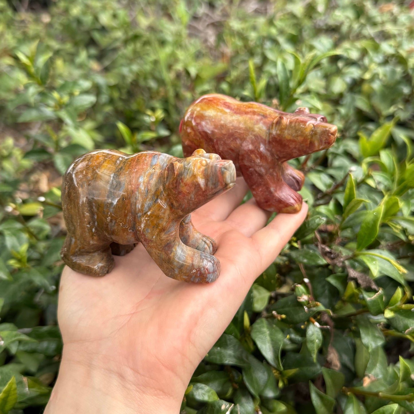 Mixed Jasper Bear