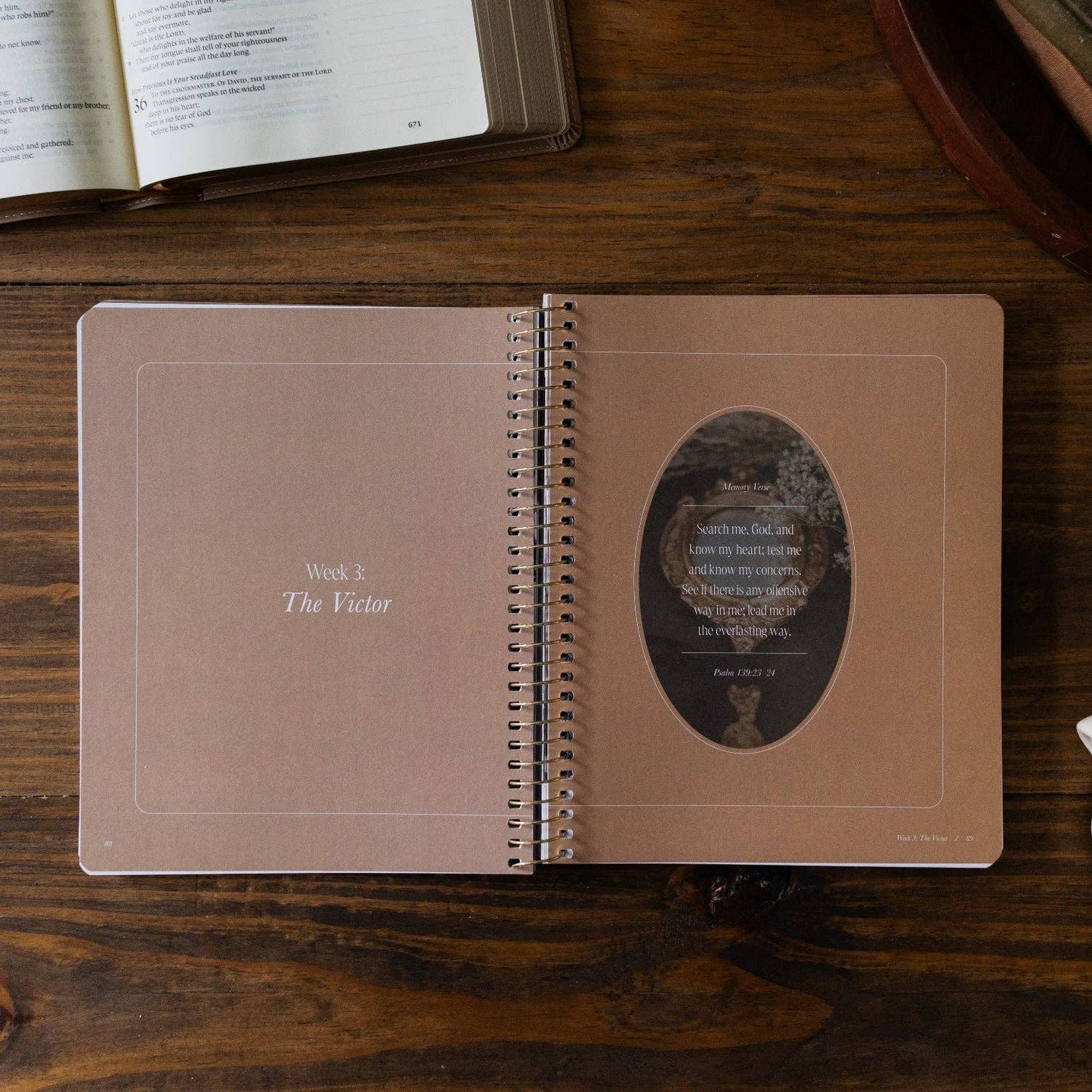 Peaks and Valleys Spiral Bible Study
