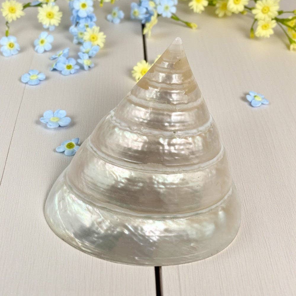 Pyramid Top Pearl