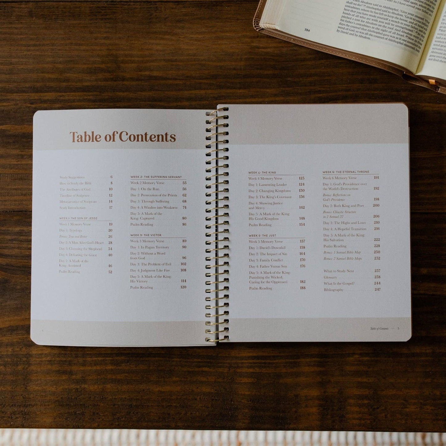 Peaks and Valleys Men's Bible Study