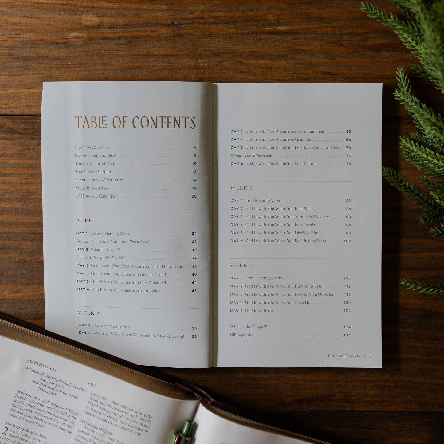 With You Always | Discovering God's Presence Through the Advent Story | Teen Study