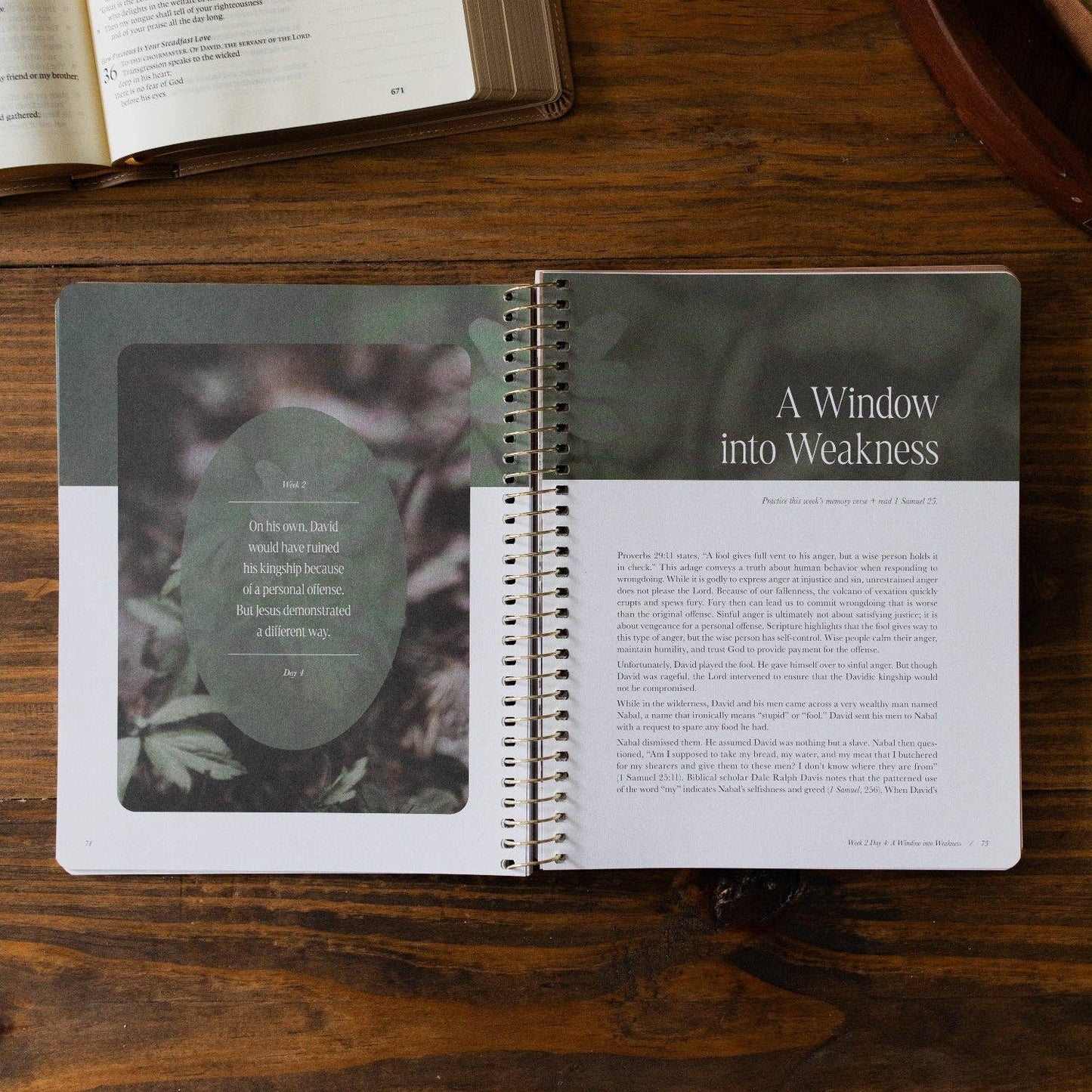 Peaks and Valleys Spiral Bible Study