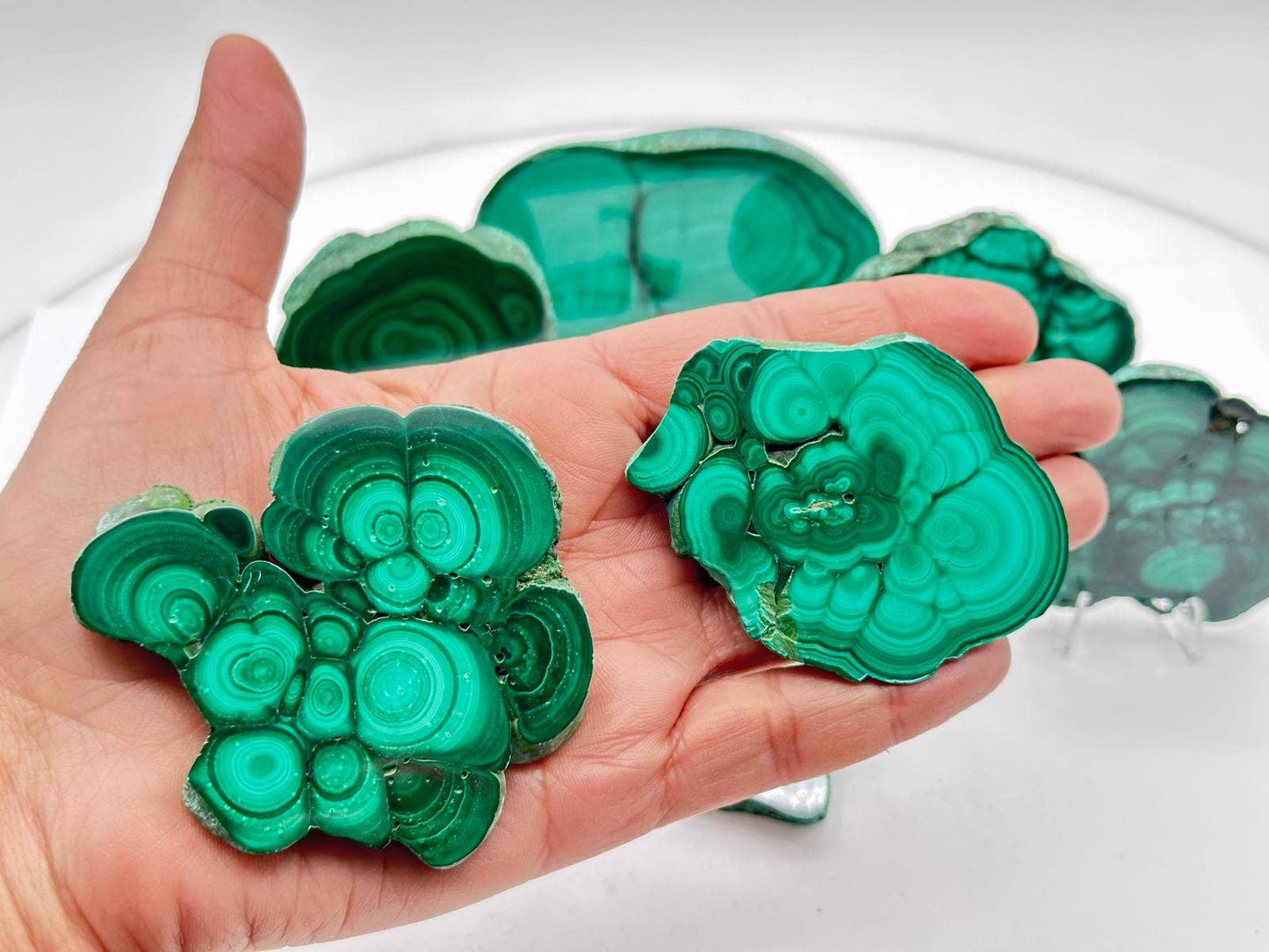 Malachite Slabs with Stands - SELECT PIECES Only AAA Quality