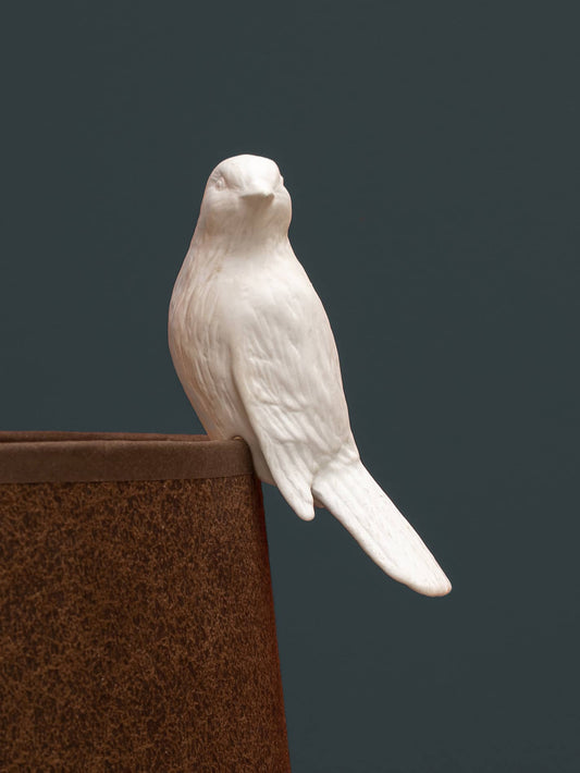 Porcelain Canary