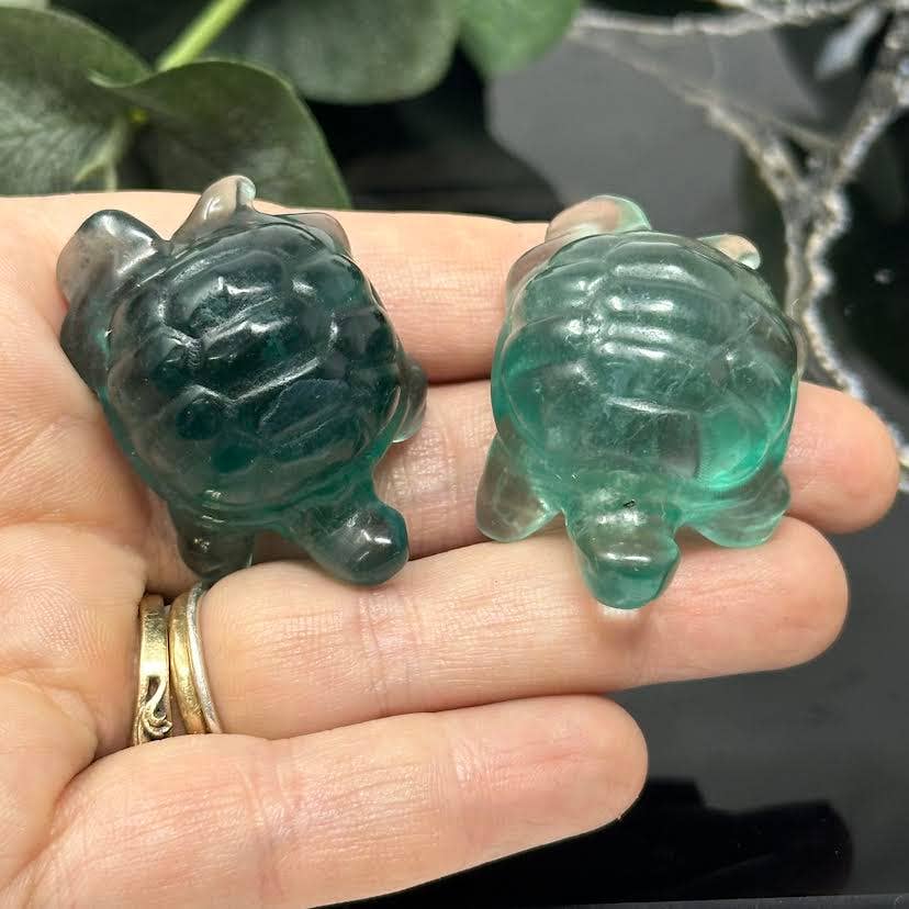 Green Fluorite Turtle - 1 pc