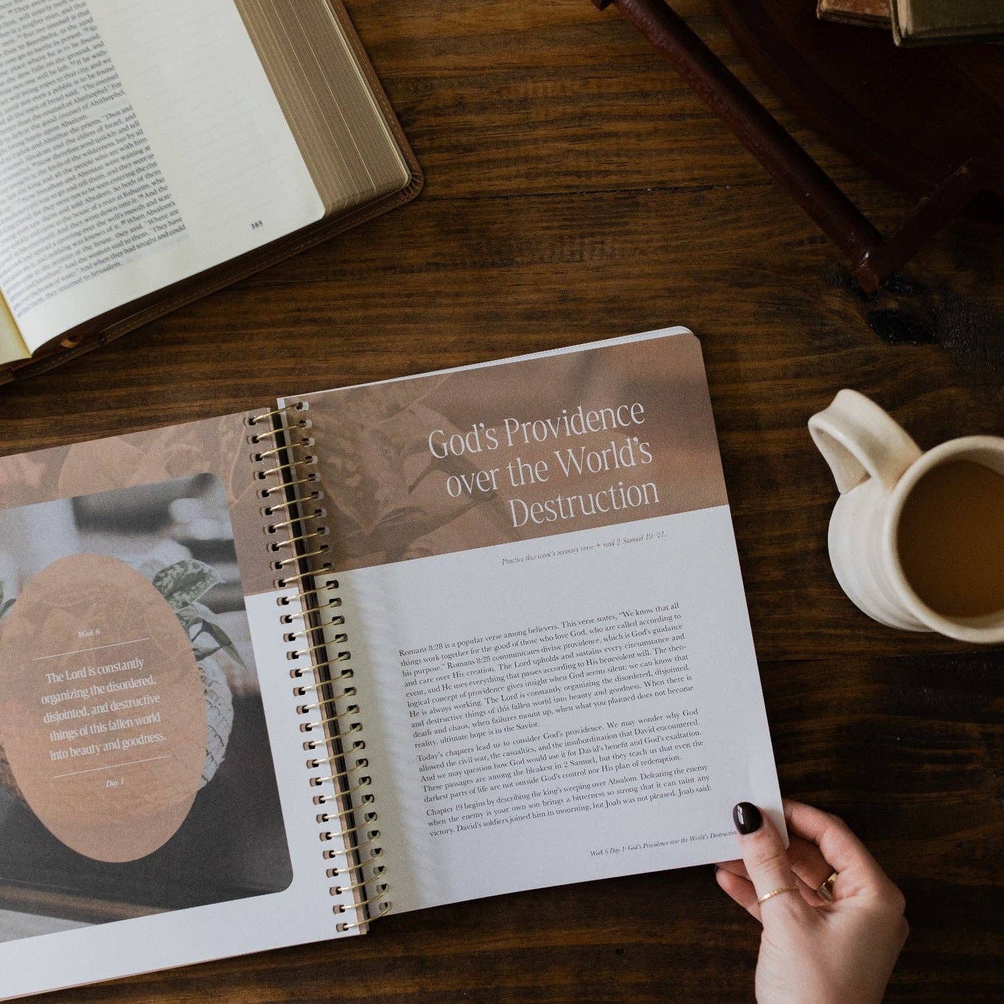 Peaks and Valleys Spiral Bible Study