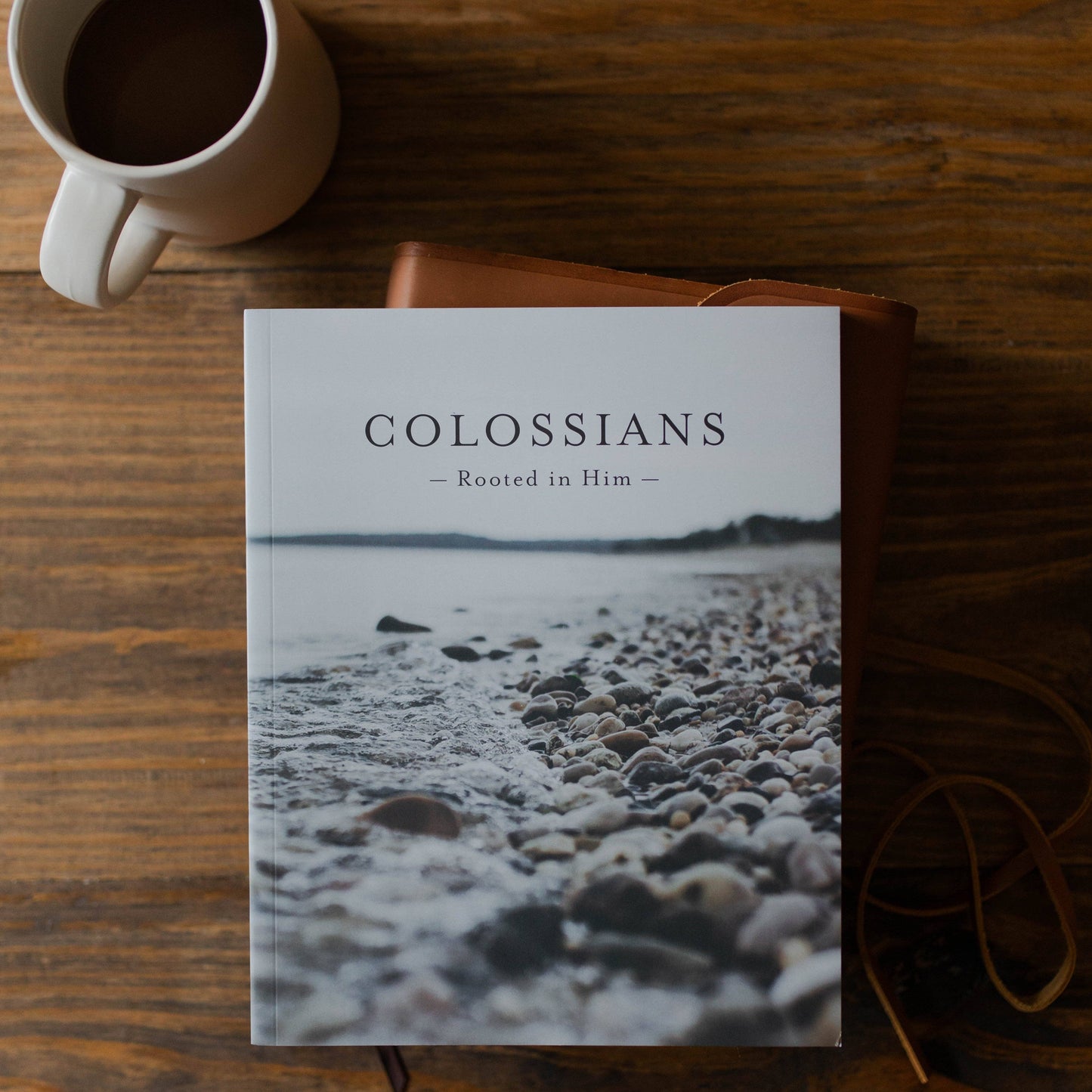 Colossians | Rooted in Him - Men